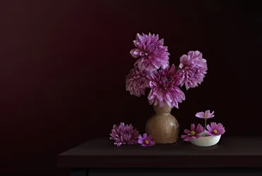 Ramo de dalias «Moody»