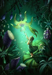 El resplandor de la selva encantada
