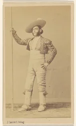 The Picador