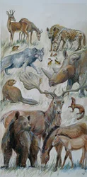 Animales de Boxgrove identificados por excavación (acuarela sobre papel)