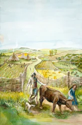 Paisaje rural