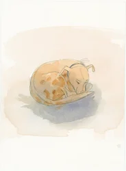 Perro durmiendo, 2003