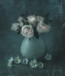 Rosas en tonos pastel de ensueño
