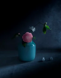 Flor rosa melancólica