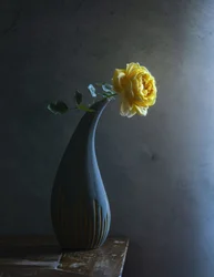 Rosa amarilla melancólica