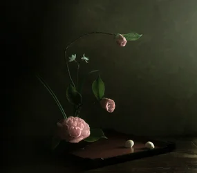 Ikebana de camelia rosa