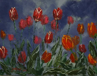 Espectaculares tulipanes de primavera