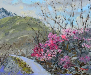 Sendero de la montaña en flor