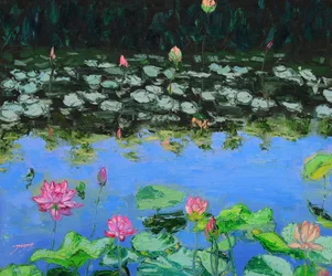 Reflejos de loto rosa