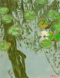 Nenúfares serenos