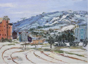 Ladera urbana nevada