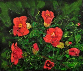 Flores de un rojo intenso