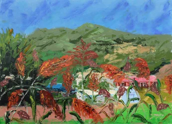Paisaje de un campo de sorgo en pleno esplendor