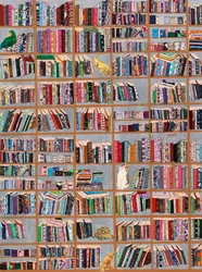 Amigos de la biblioteca más extravagantes