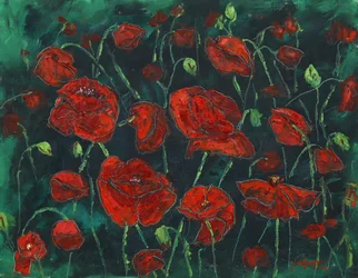 Amapolas rojas silvestres