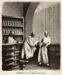 La degustación del té, en la sala de degustación de una fábrica de pólvora en la bahía de Fati (provincia de Cantón), en los estantes las cajas contienen las muestras de té, en la mesa central, las tazas con tapa especialmente diseñadas para la degustación