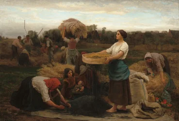 Cosecha de colza, 1860