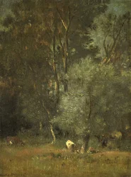 Vista en el bosque