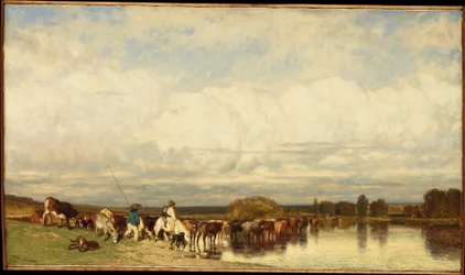 Vacas cruzando un vado