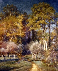 En un Rincón del Bosque