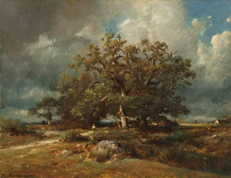 El viejo roble, c.1870 (óleo sobre lienzo)