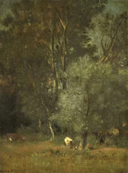 Vista en el bosque