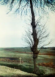 Una tumba con varios muertos al borde del camino durante la Batalla del Marne al este de París, septiembre de 1914