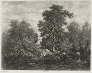 El estanque, después de Théodore Rousseau (1812-67)