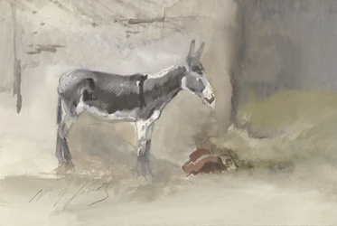 Burro en un establo