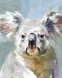 La tierna mirada del koala