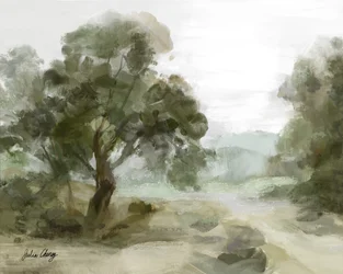 Sendero del Valle Brumoso