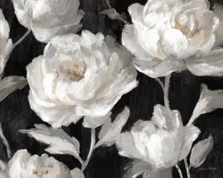 Peonías blancas sobre negro, Julia Cheney