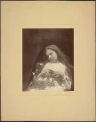 [Adeline Norman]