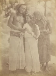 [Grupo ceilandés junto a un árbol], 1878