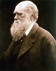 Charles Darwin, naturalista británico