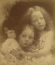 Flores inglesas, 1873