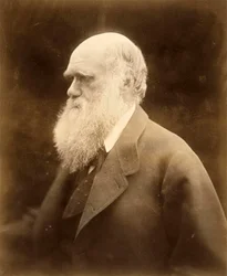 Retrato de Charles Darwin