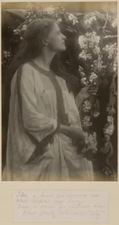 [Primavera]