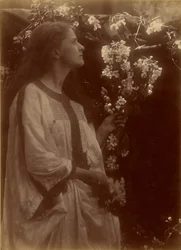 [Primavera]
