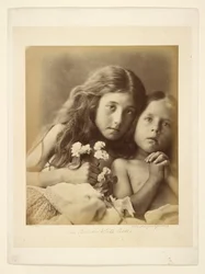 Las rosas rojas y blancas