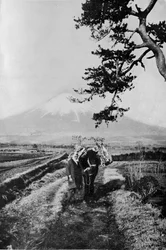 Campesinos de la región de Fuji no por nombre sino simplemente como O Yama, la Montaña Honorable, c1900