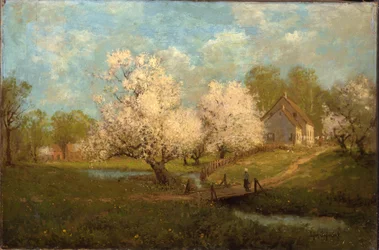 Flores de primavera