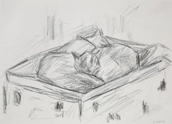Gatos acurrucados, 2015