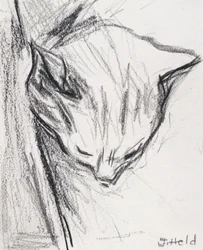 Gato durmiendo, 2015