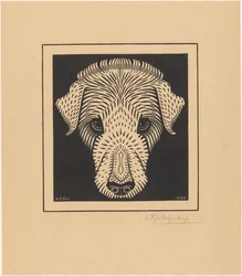 Cabeza de perro