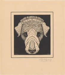 Cabeza de perro