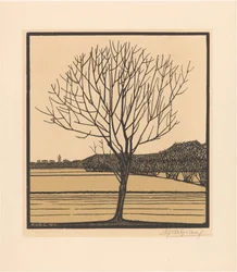 Árbol desnudo