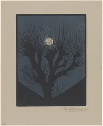 Noche de Luna