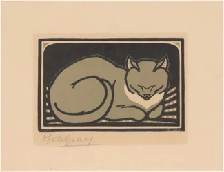 Gato dormido