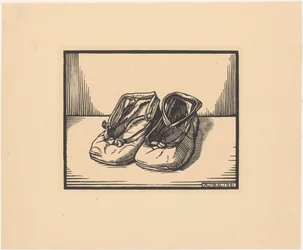 Un par de zapatos